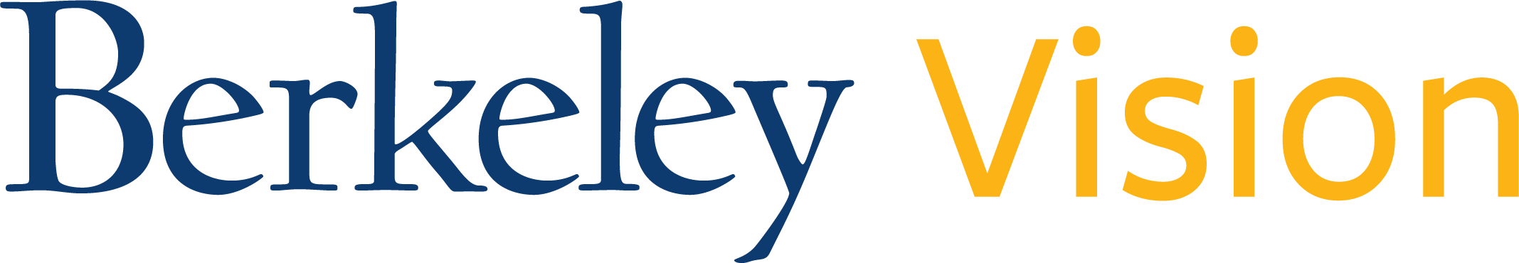Berkeley Vision Logo